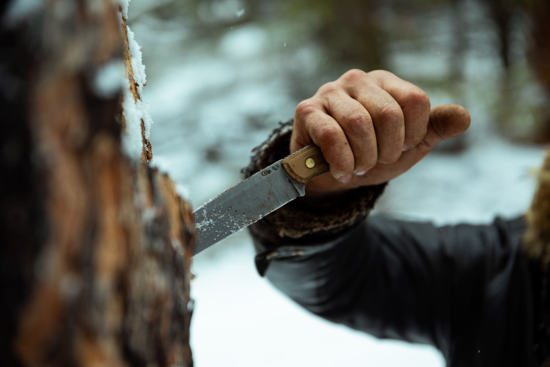 Case x Zippo Collaboration, Winter field test