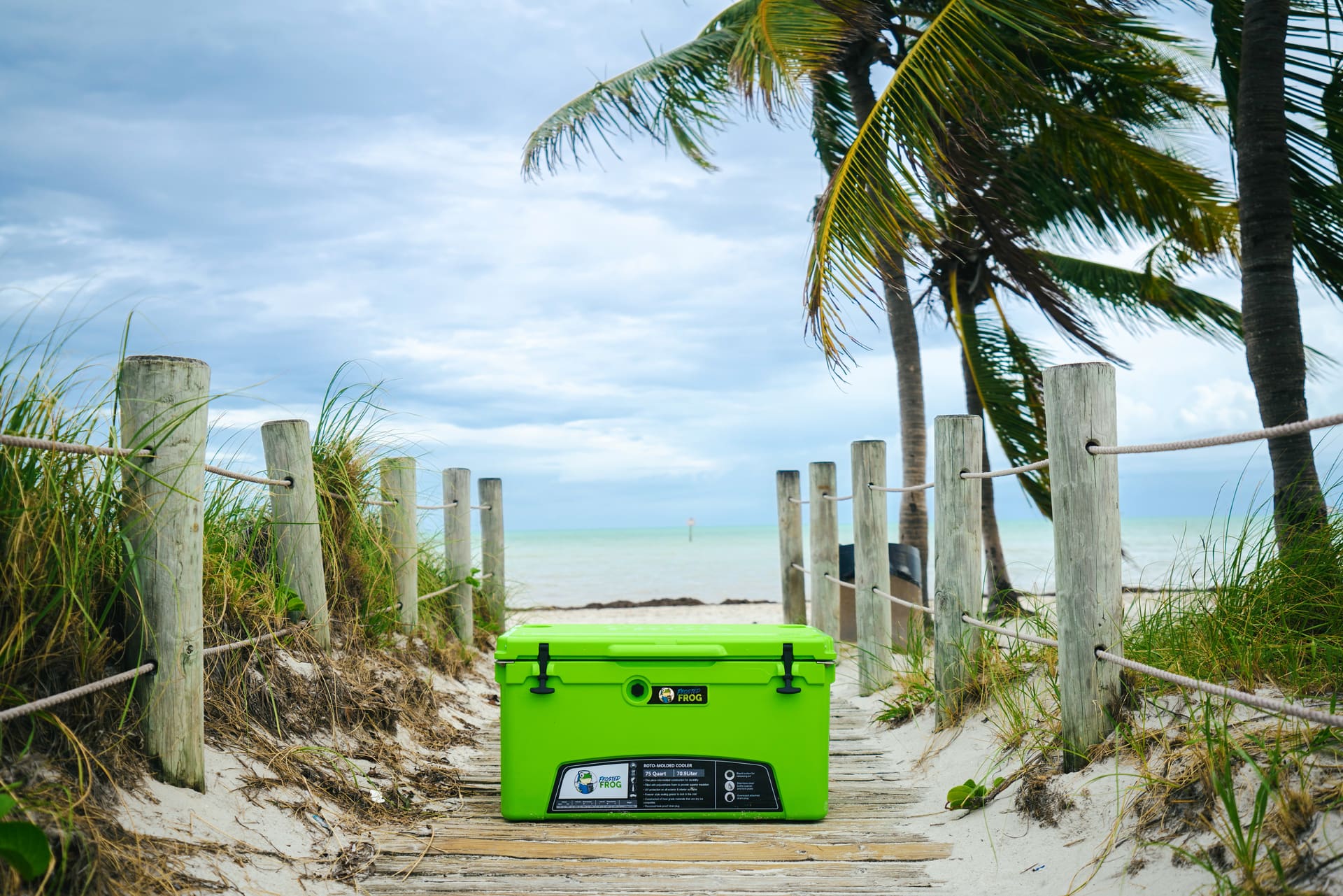 Frosted Frog / Beach Day
