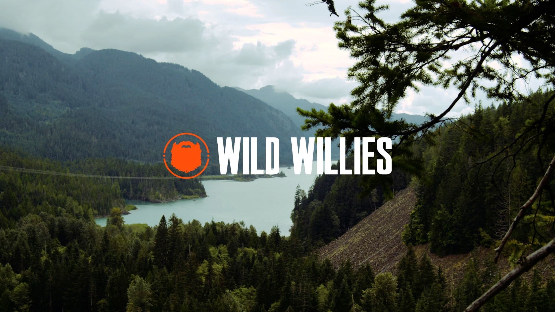 Wild Willies